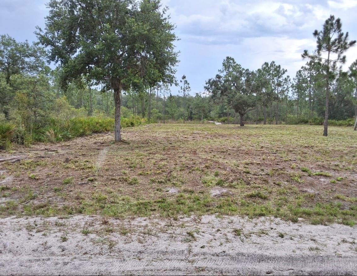 INDIAN LAKE ESTATES - Land