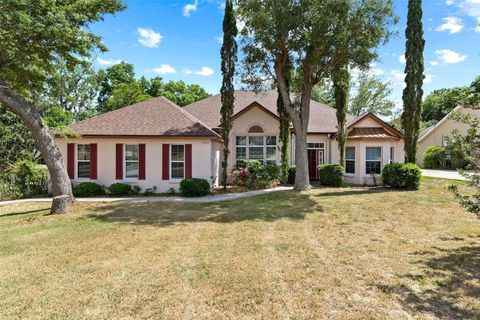 A home in FRUITLAND PARK