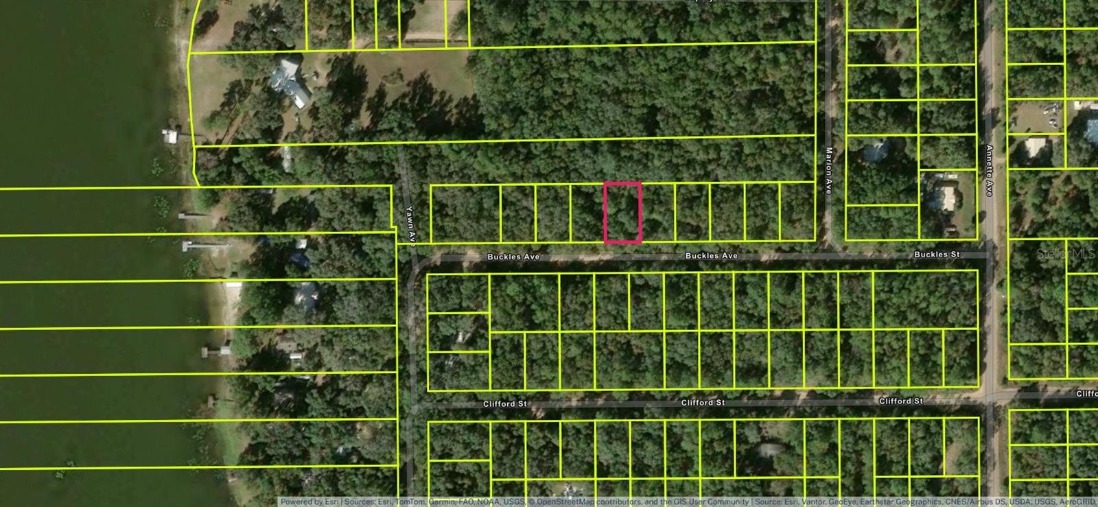 Lot 7, Unit 7, Blk 42 BUCKLES AVENUE