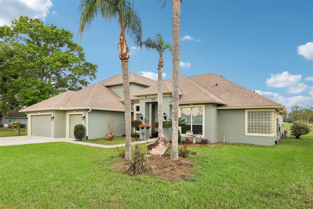 Photo of 20421 Netherland Street, Orlando, FL 32833 (MLS # O6392275)