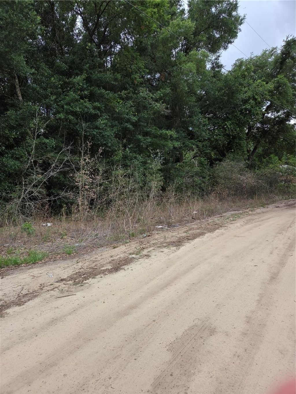 Photo of 17 SE 142 Place, Summerfield, FL 34491 (MLS # OM724973)