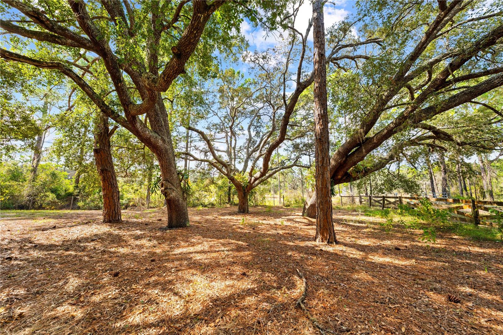 BAY LAKE RANCH UNIT 3 - Residential