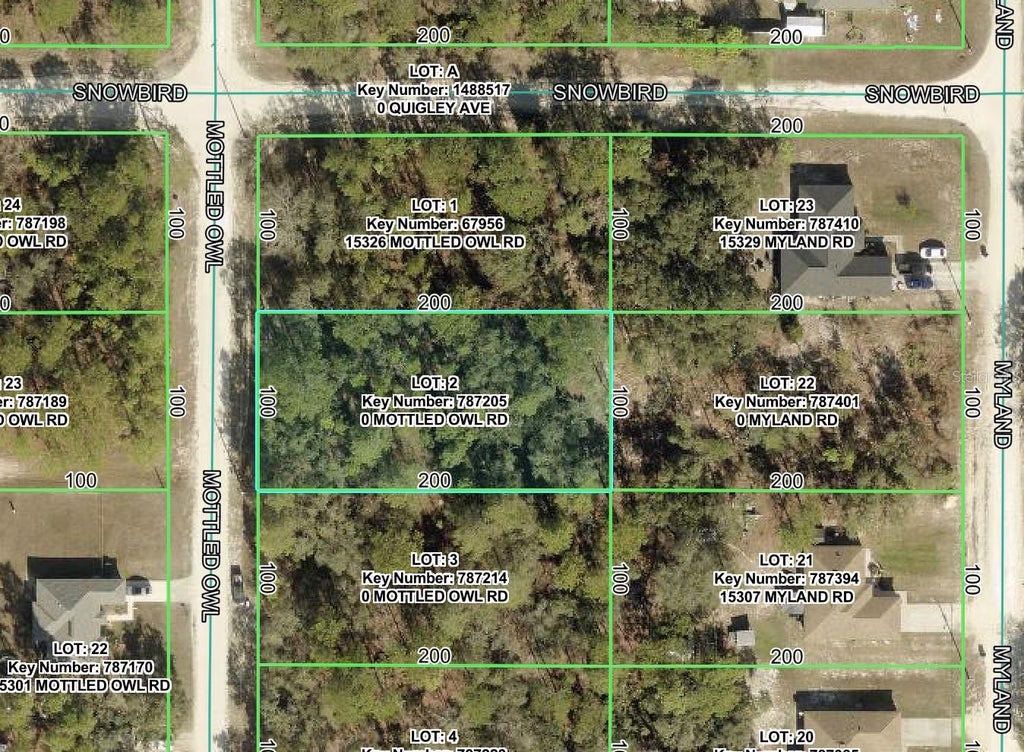 Photo of 15316 Mottled Owl Road, Brooksville, FL 34614 (MLS # W7887941)
