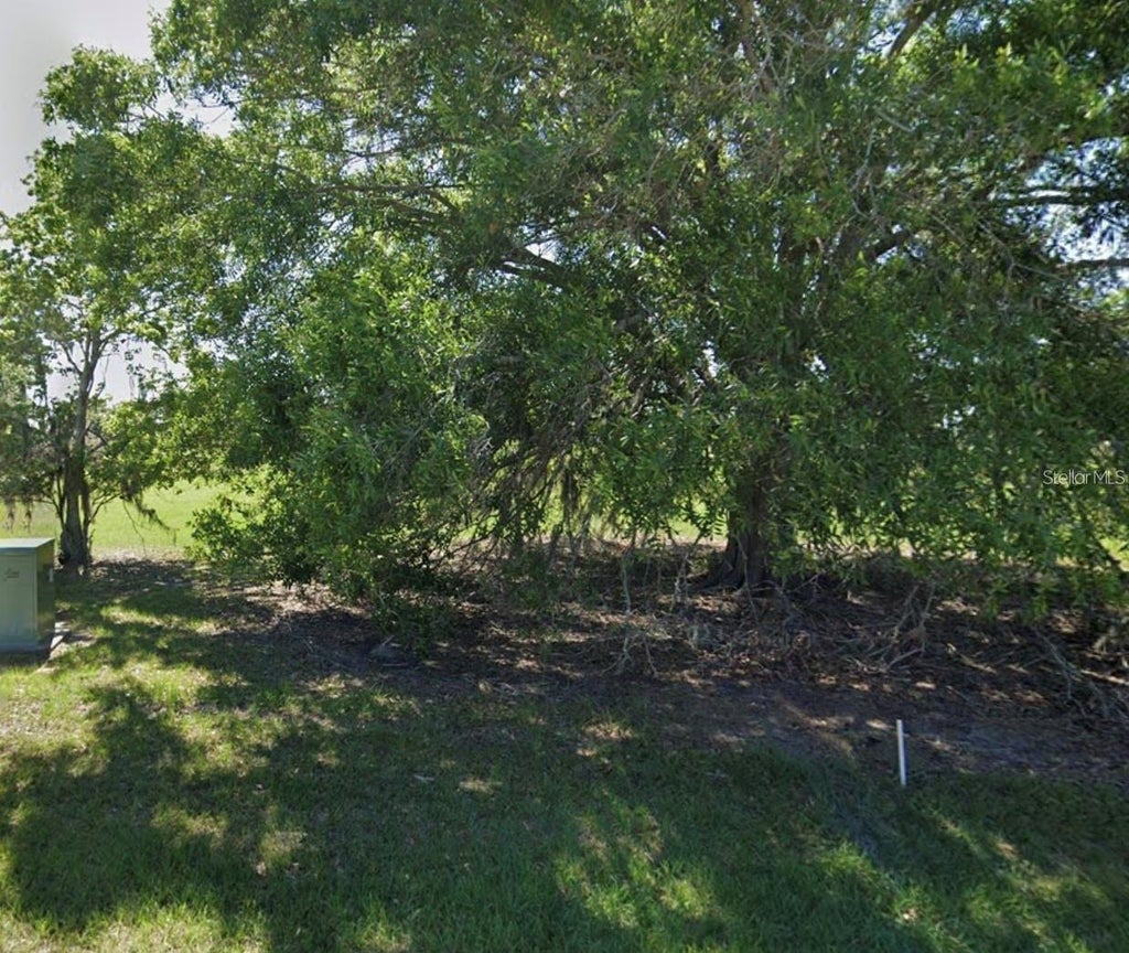 Photo of 1408 Blue Heron Drive, Sebring, FL 33876 (MLS # A4708376)