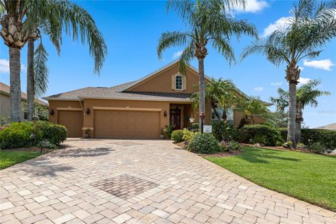 A home in THE VILLAGES