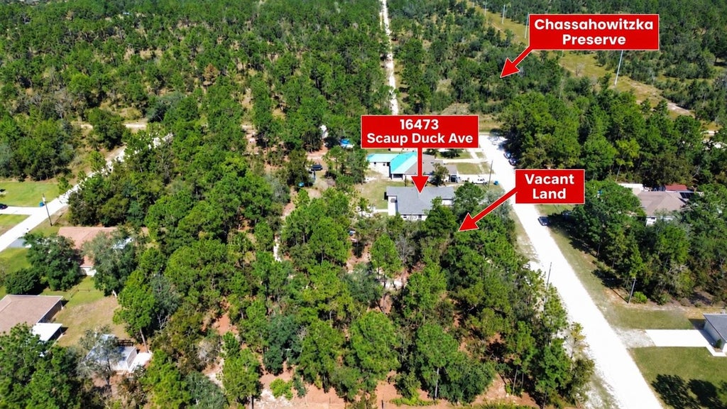 Photo of 16473 Scaup Duck Avenue, Brooksville, FL 34614 (MLS # TB8560031)