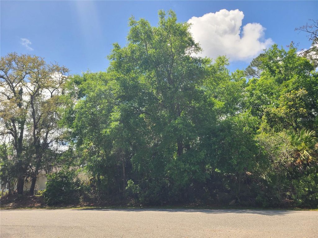 Photo of 17 Farver Lane, Palm Coast, FL 32137 (MLS # FC317948)