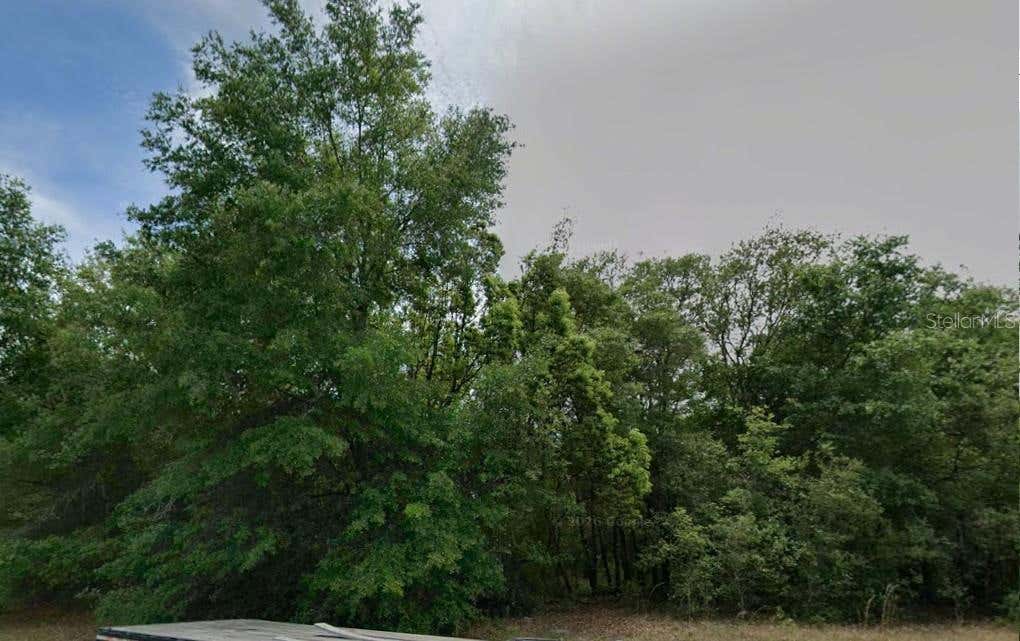 Photo of 602 W Anderson Lane, Citrus Springs, FL 34434 (MLS # OM730140)