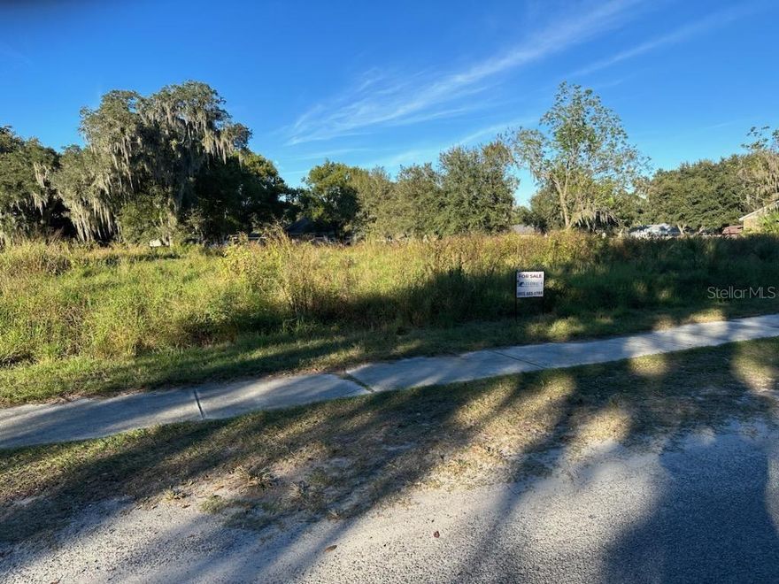 Bring your own builder and dream home plans! This is a gorgeous rural lot with so much potential. Situated close to a subdivision of 1800+ square foot homes and in close proximity to Plant City, Valrico/Brandon, and Lakeland with ,many amenities. Land Survey available.