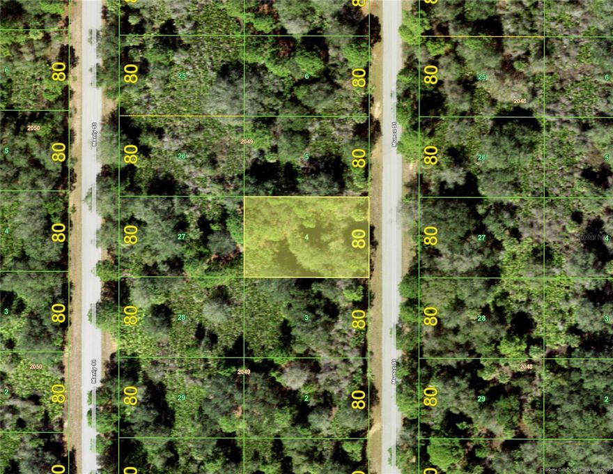 Future potential here for investors. This area is sparsely populated with country-like appeal and yet just a few minutes north of this area is the commercial center of North Port. Very affordable and nicely wooded, come see this very quiet area.