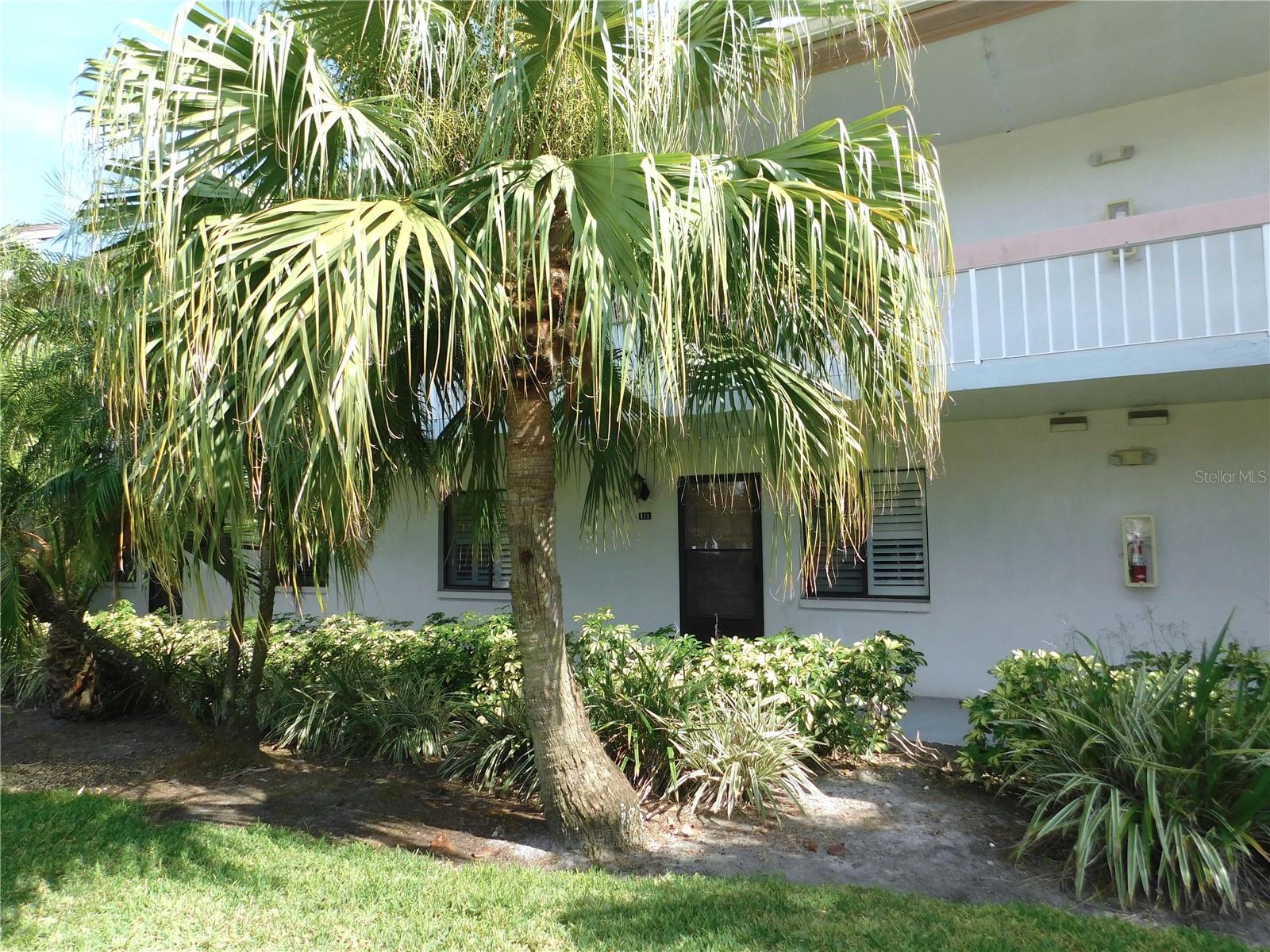 111 LAKEVIEW PLACE