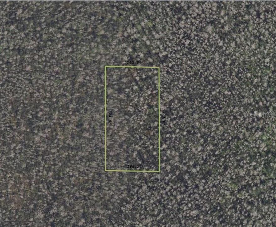 Discover a lucrative investment opportunity in the heart of Orlando. This 1.23-acre lot in the tranquil Munger Willis R Land Co community offers exceptional growth potential. While currently land-locked, its strategic location near major attractions, dining, and entertainment ensures future value appreciation.