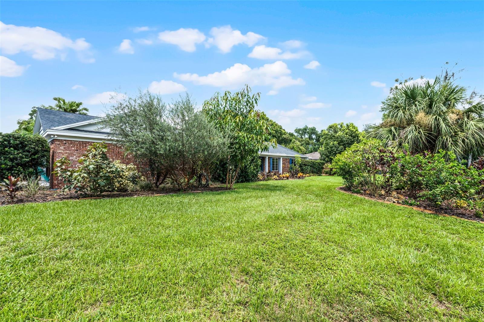 107 CAMPHOR TREE LANE