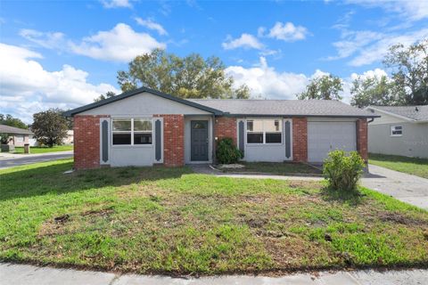 A home in PORT RICHEY