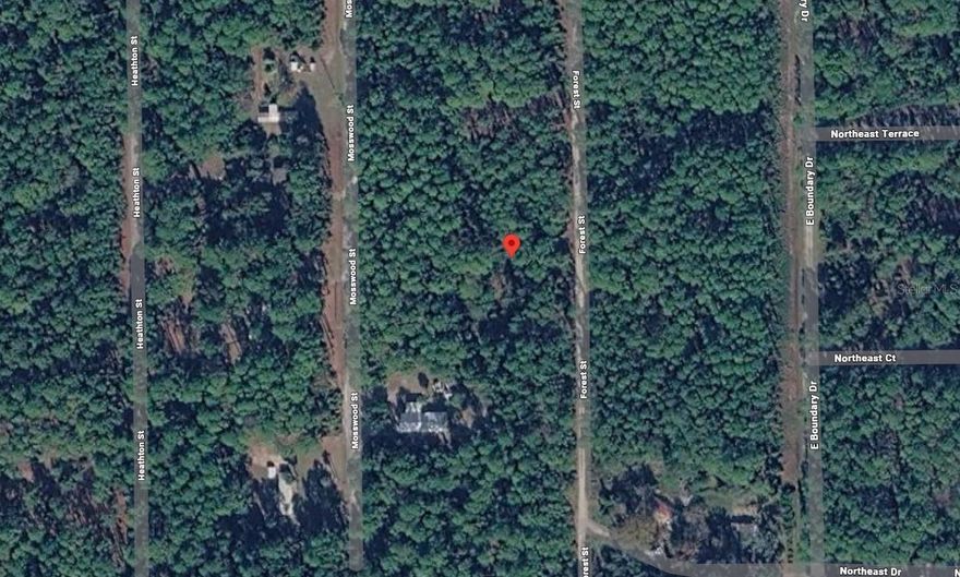 Discover the perfect opportunity to own a slice of Florida living in charming Georgetown! This property offers a peaceful setting surrounded by natural beauty, making it ideal for those seeking privacy, relaxation, or a weekend retreat. Located just minutes from Lake George and the St. Johns River, this property provides easy access to boating, fishing, and outdoor recreation. Whether you're looking to build your dream home, invest, or enjoy a quiet escape, this location delivers endless potential. Conveniently situated with access to nearby towns while still maintaining a serene, rural feel. Don’t miss your chance to own property in this growing area of Georgetown!
Buyer to perform their own due diligence regarding zoning, utilities, and land use.