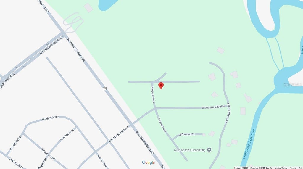 Photo of 346 W Whitmarsh Court, Citrus Springs, FL 34434 (MLS # OM730340)