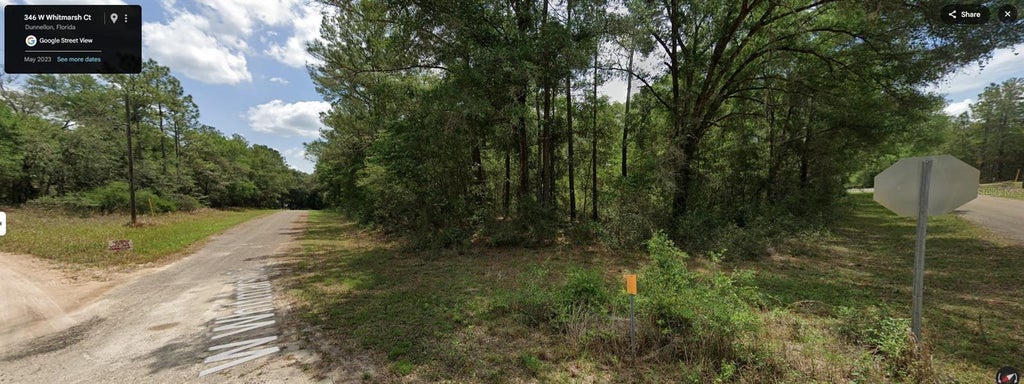 Photo of 346 W Whitmarsh Court, Citrus Springs, FL 34434 (MLS # OM730340)