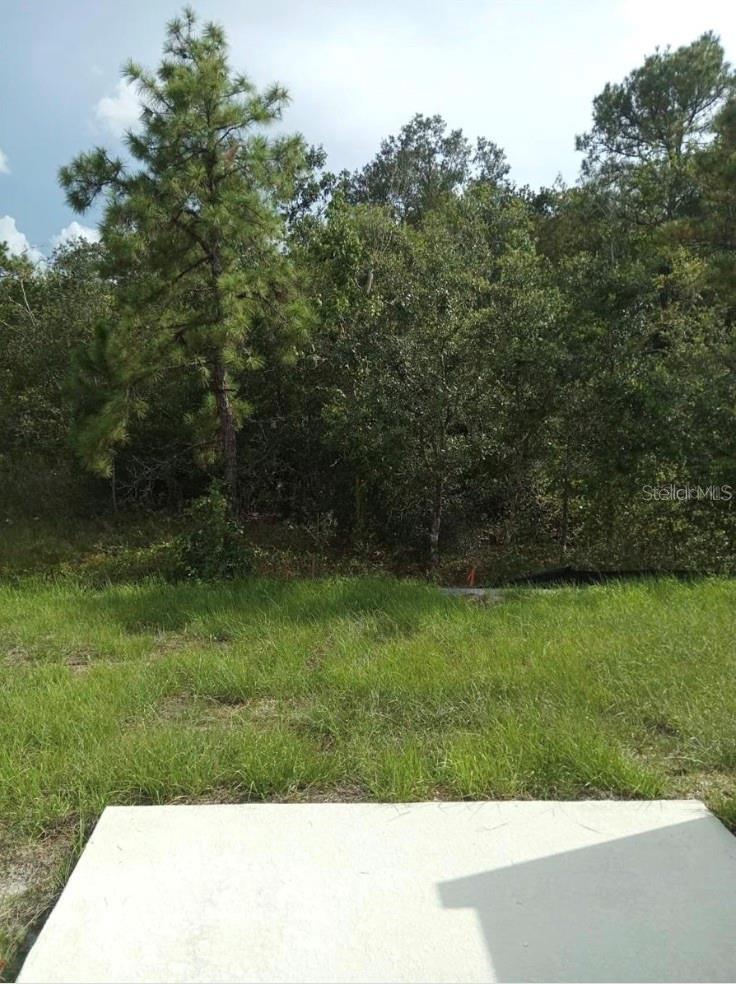 LAKE WILSON RESERVE - Residential Lease