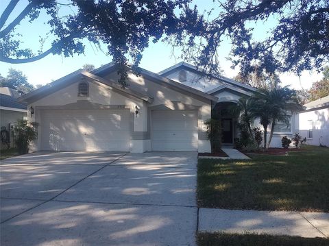 2512 ALLWOOD AVENUE VALRICO FL 33596