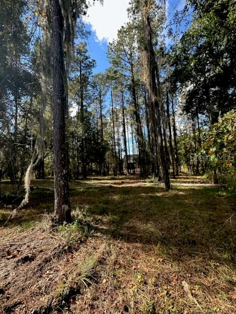 SOUTHERN HILLS PLANTATION PH 2 - Land