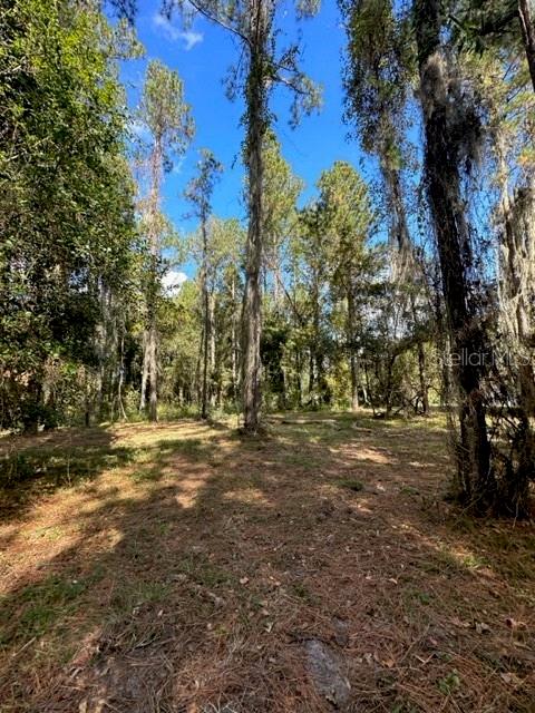 SOUTHERN HILLS PLANTATION PH 2 - Land