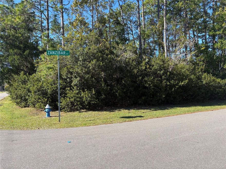Build your dream home on this prime vacant corner lot on a quiet cul-de-sac in desirable Palm Coast, FL. This well-positioned, over 1/4-acre homesite, offers added privacy and flexibility, with extra frontage and space rarely found. Conveniently located just minutes from shopping, dining, and everyday essentials, you’ll enjoy the perfect balance of tranquility and accessibility. Situated outside of a flood zone, this property provides added peace of mind and long-term value. Whether you’re planning to build now or invest for the future, this lot is an excellent opportunity in a growing area of Palm Coast.