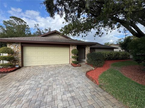 8213 LOST LAKE DRIVE ORLANDO FL 32817