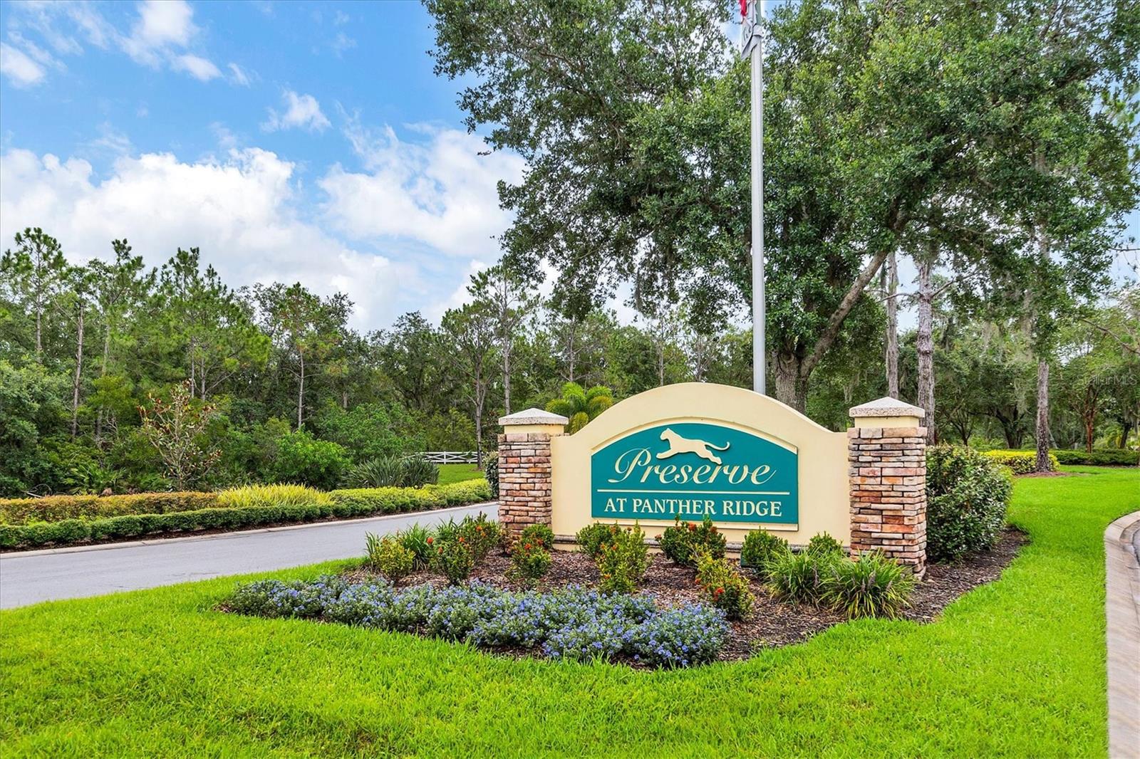 PRESERVE AT PANTHER RIDGE PH IV - Residential