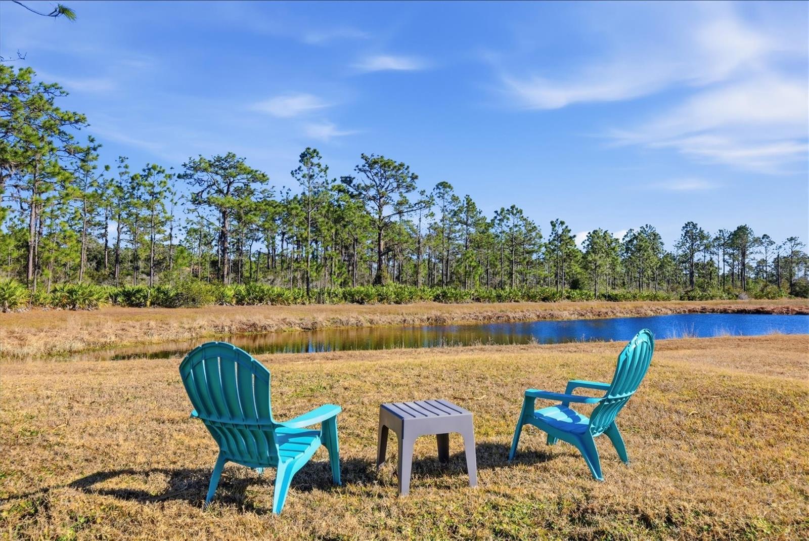 PRESERVE AT PANTHER RIDGE PH IV - Residential