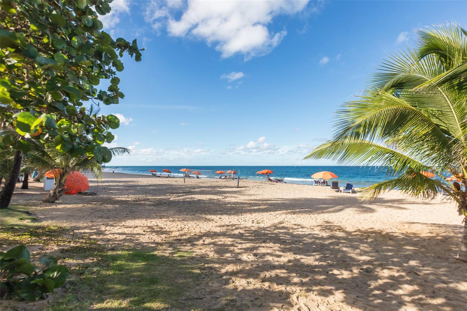 TENERIFE CONDADO - Residential Lease