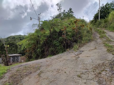 BO.  INDIERA BAJA MARICAO  00606