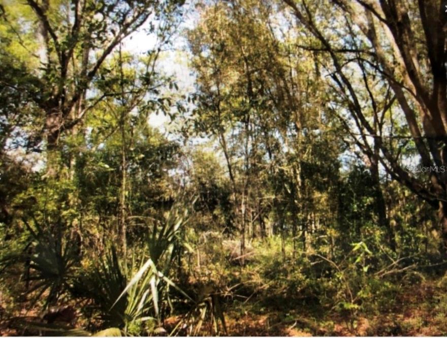 BEAUTIFUL 1 ACRE LOT TO BUILD YOUR DREAM HOME!