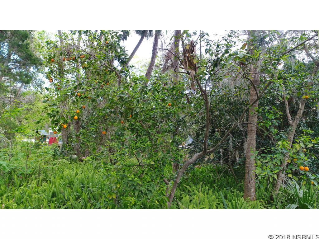 Pioneer Trail - Residential