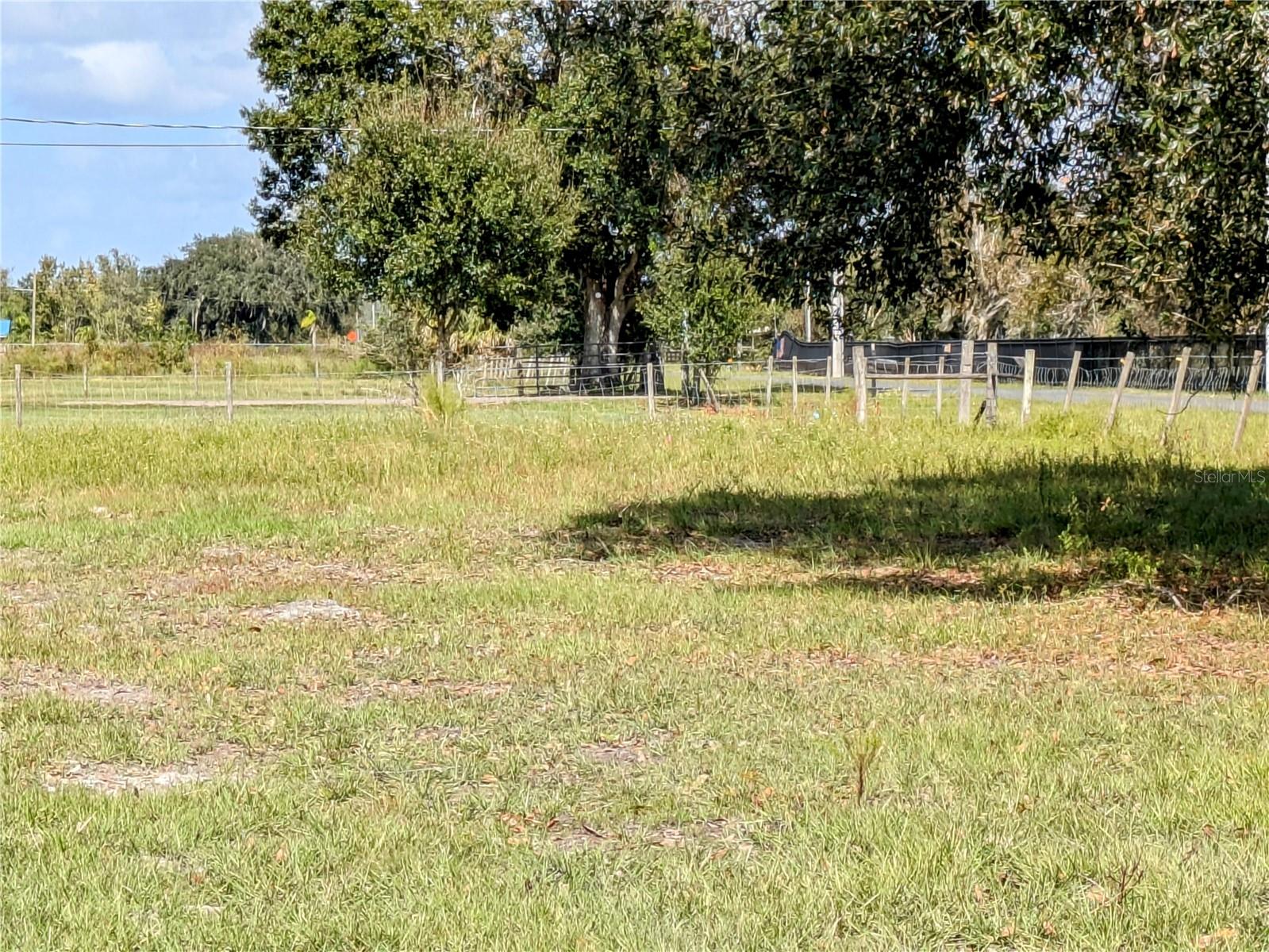 FLORIDA FRUIT BELT SALES CO 1 - Land