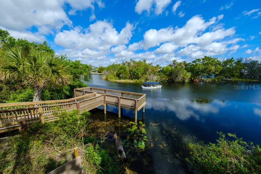 MOTE RANCH PH IV-C - Residential