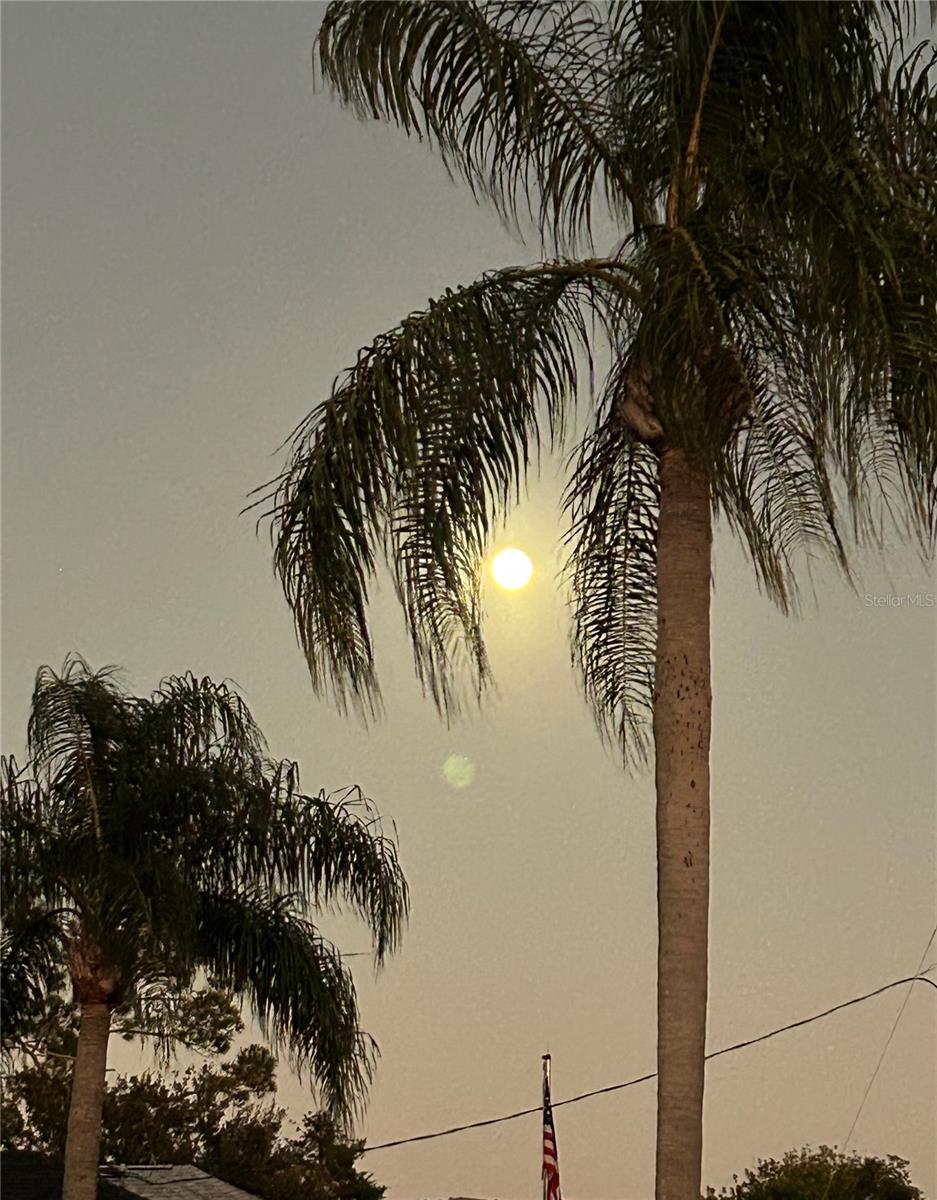 BAYSIDE PRCL C - Residential