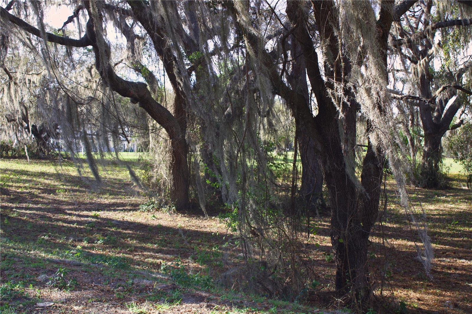 BEAUCLAIR RANCH CLUB SUB - Land