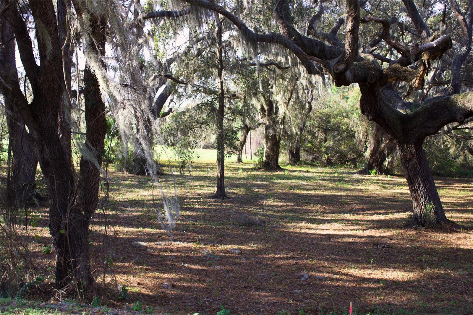 BEAUCLAIR RANCH CLUB SUB - Land