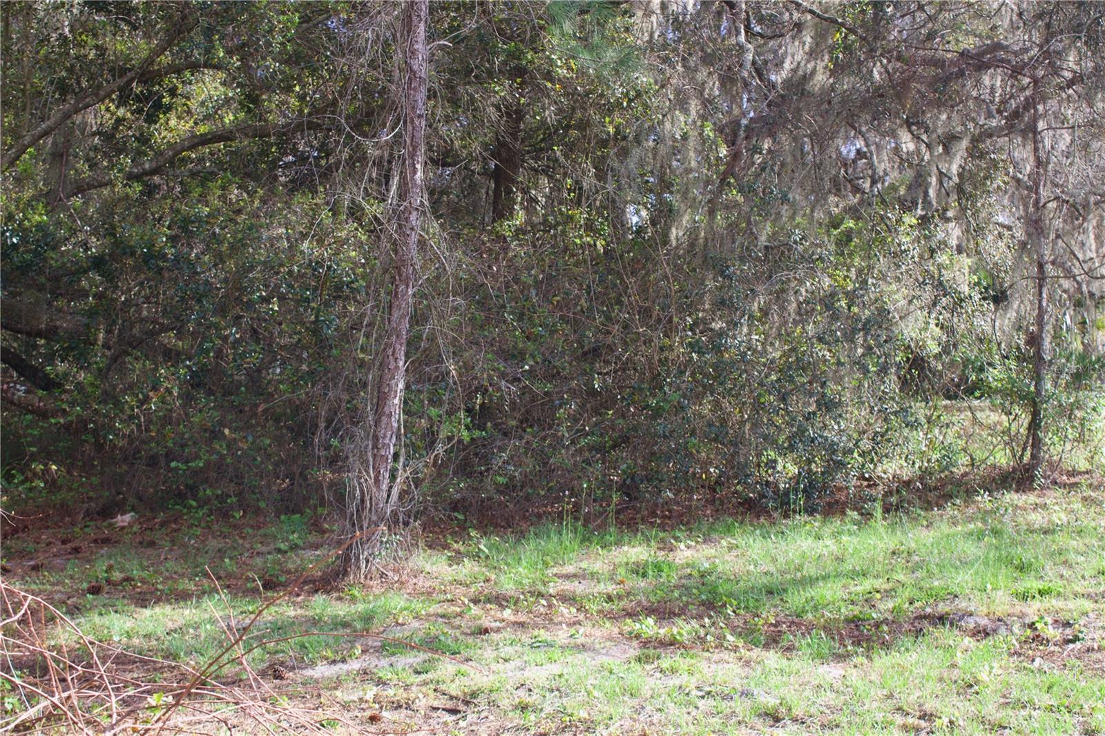 BEAUCLAIR RANCH CLUB SUB - Land