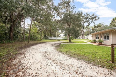 A home in NEW SMYRNA BEACH