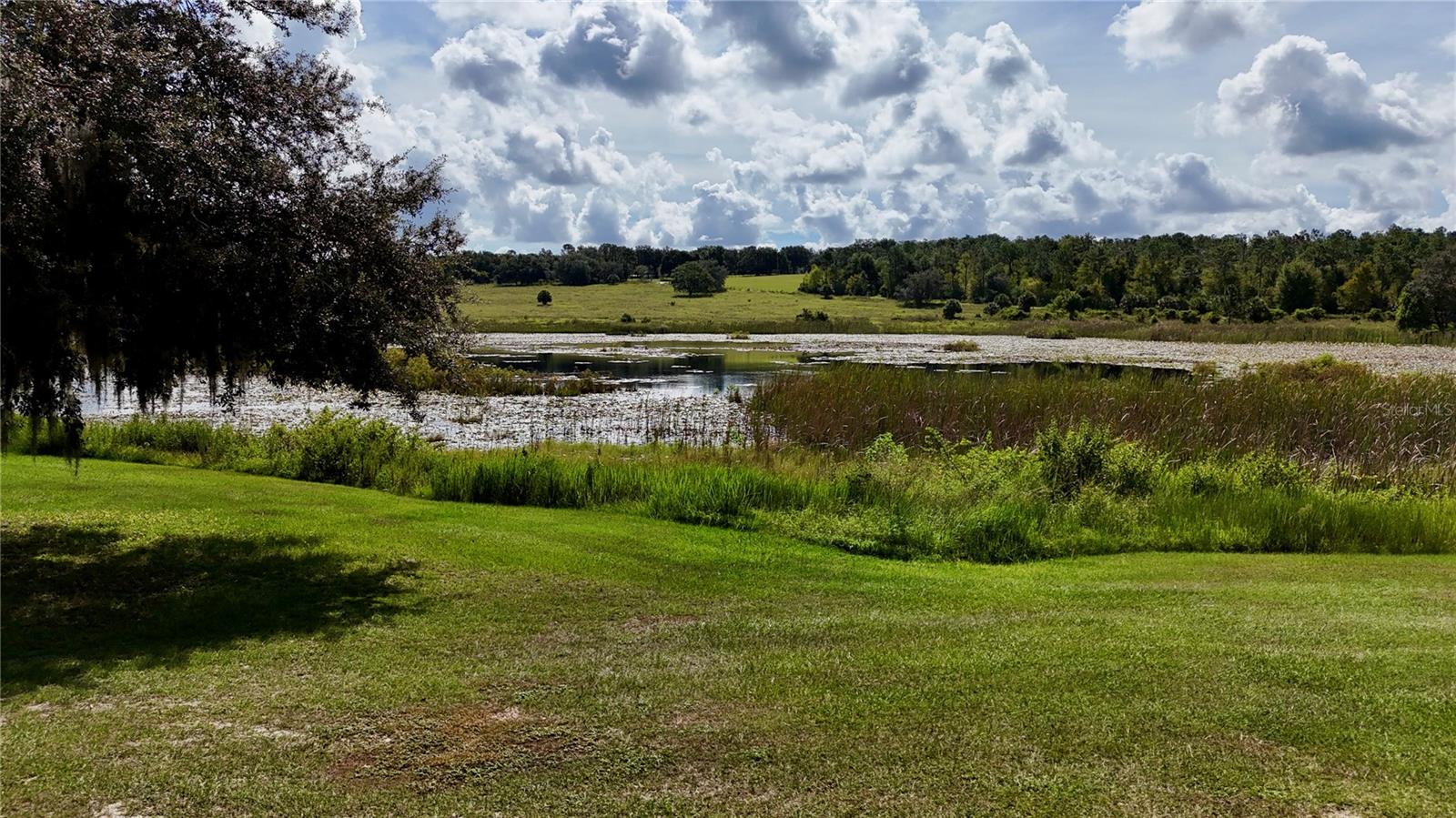 ACREAGE & UNREC - Land