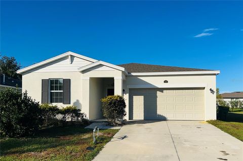 Photo of 29994 Anahid Drive, Leesburg, FL 34748 (MLS # S5140236)