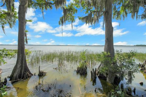 Tiny photo for 30437 Orange Drive, Leesburg, FL 34748 (MLS # G5110964)