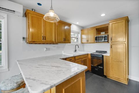 Tiny photo for 30437 Orange Drive, Leesburg, FL 34748 (MLS # G5110964)
