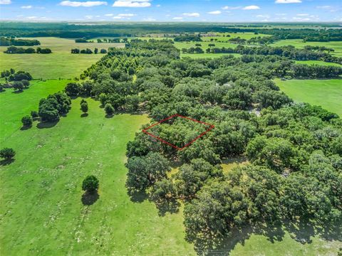 Tiny photo for 12 Cr 543, Bushnell, FL 33513 (MLS # TB8523193)