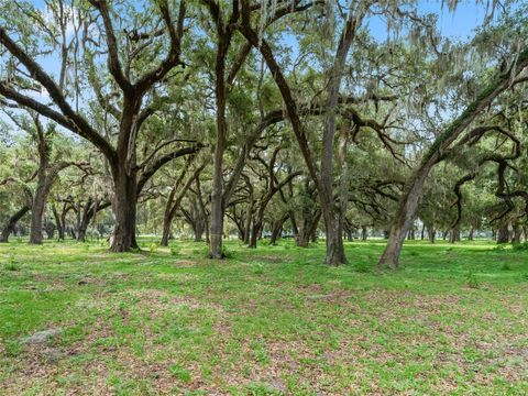 Tiny photo for 12 Cr 543, Bushnell, FL 33513 (MLS # TB8523193)