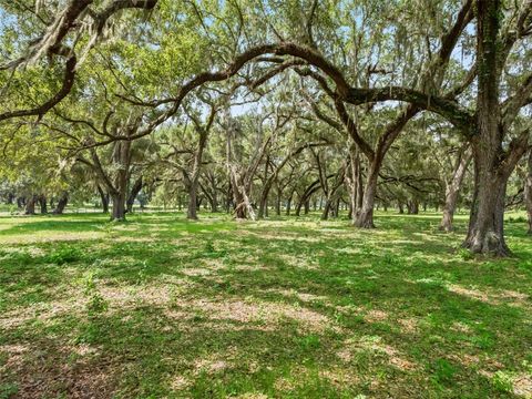 Tiny photo for 12 Cr 543, Bushnell, FL 33513 (MLS # TB8523193)