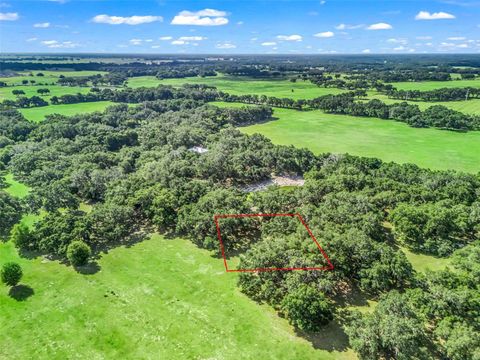 Tiny photo for 12 Cr 543, Bushnell, FL 33513 (MLS # TB8523193)