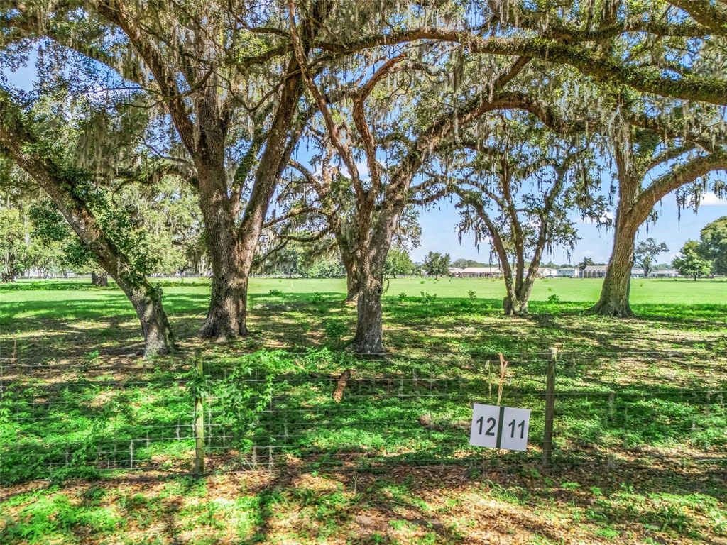 Photo of 12 Cr 543, Bushnell, FL 33513 (MLS # TB8523193)