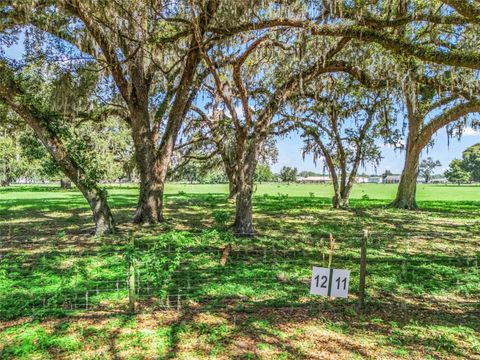 Tiny photo for 12 Cr 543, Bushnell, FL 33513 (MLS # TB8523193)
